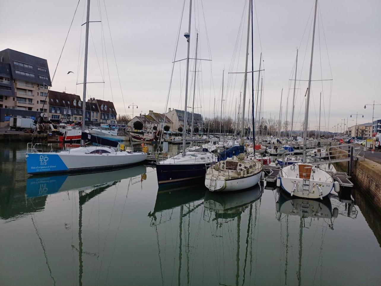 Le 501 F2 De Plain-Pied Avec Terrasse Apartment Courseulles-sur-Mer Bagian luar foto